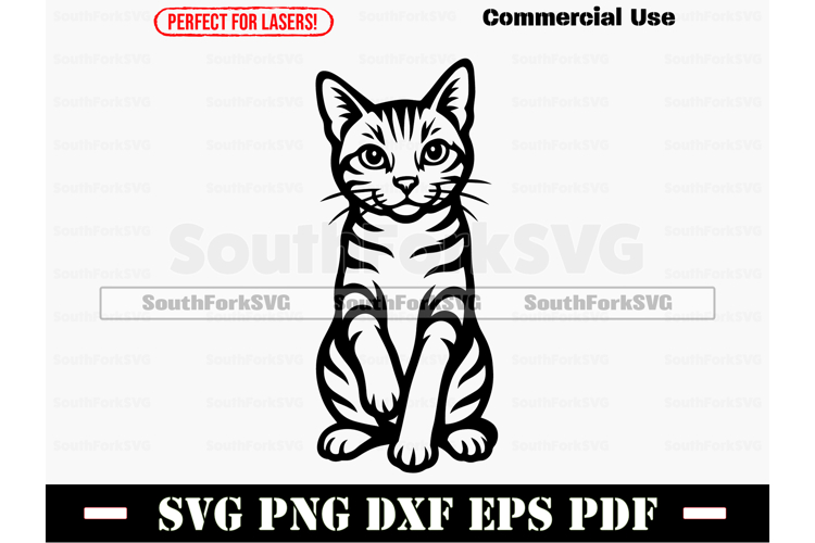 Tabby Shorthair Cat Begging Design SVG PNG DXF EPS PDF