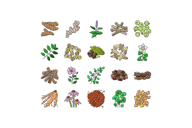 ayurvedic herbs medicine health icons set vector