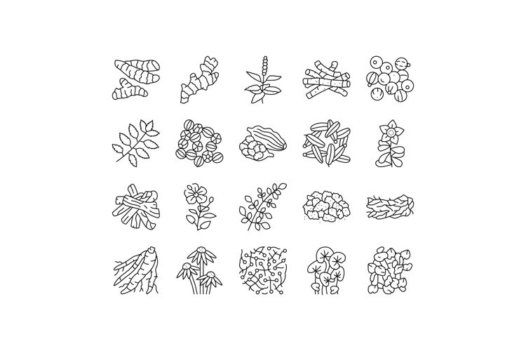 Nature Icon Image 19