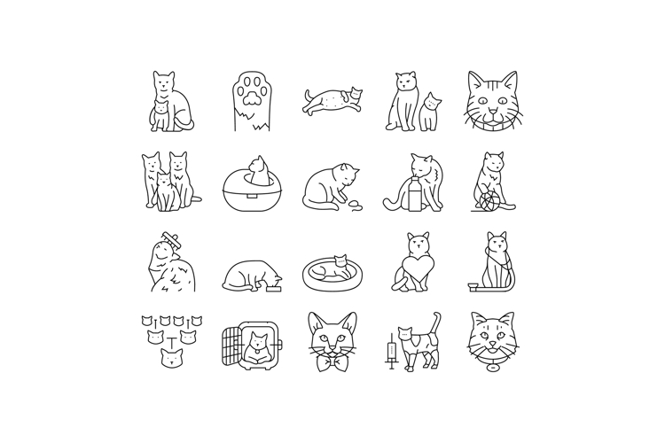 Cat Icon Image 18