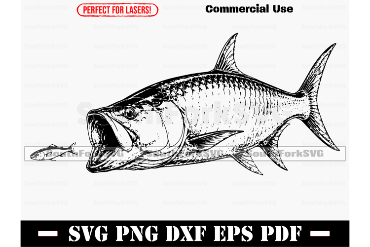 Tarpon Fishing SVG PNG DXF EPS PDF example image 1