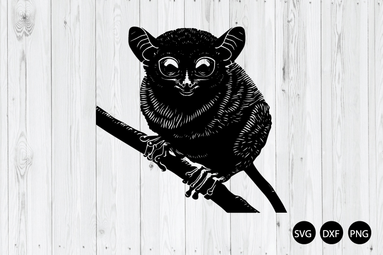Tarsier SVG, Animal Silhouette SVG, Cute Tarsier SVG