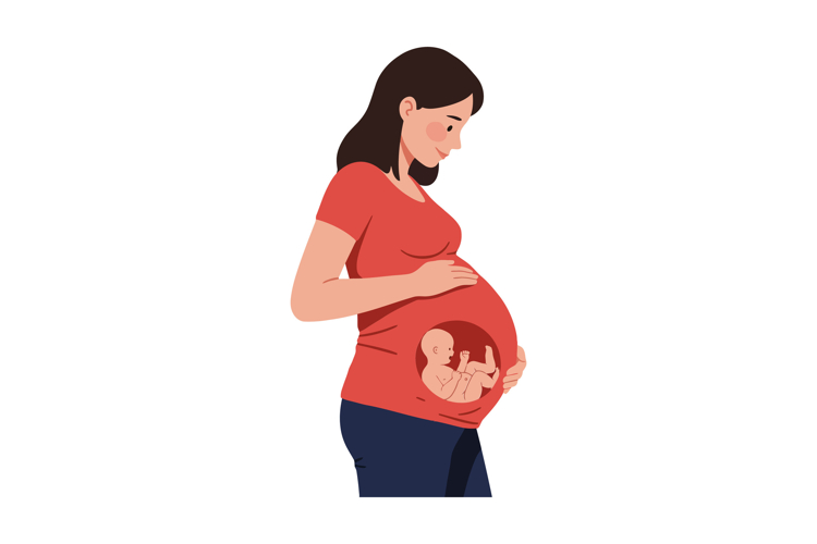 Baby Vector Image 4