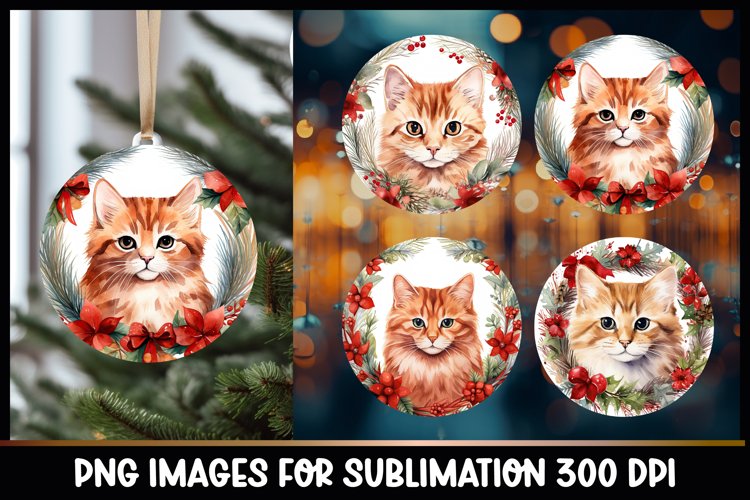 Winter Png Image 4