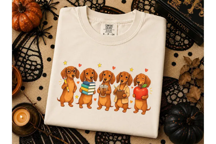 Dachshund Teacher Back to School PNG Tee