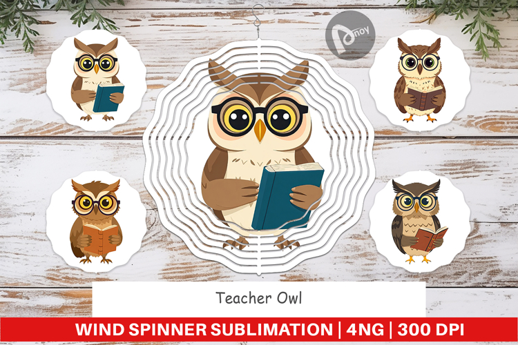 Wind Spinner Teacher Owl