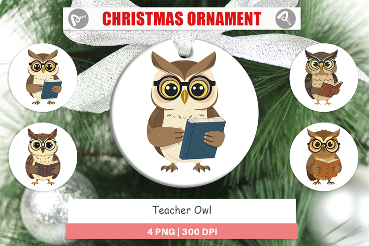 Ornament Teacher Owl