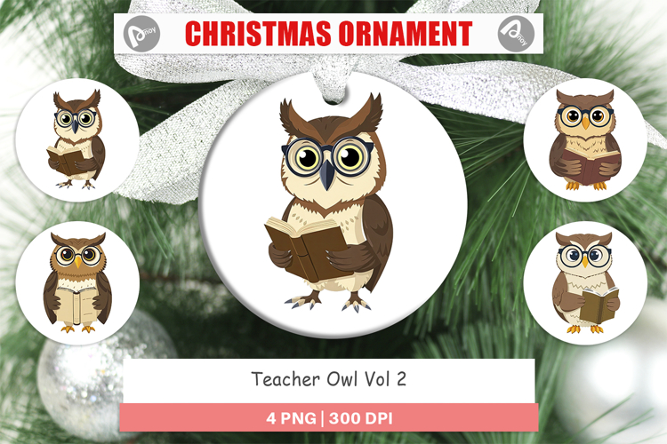 Ornament Teacher Owl