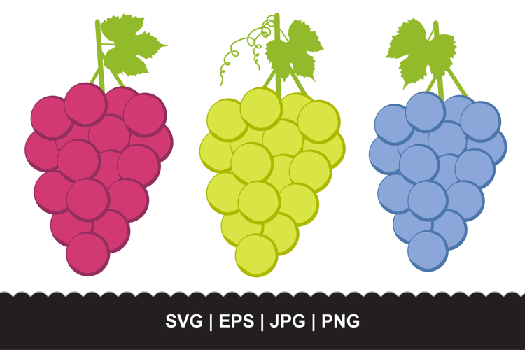 Grapes SVG Set - 3 Colorful Grape Bunches | Vector