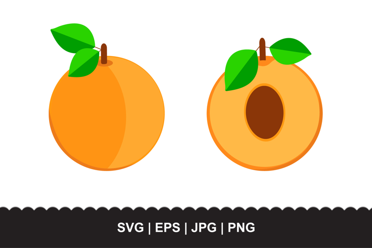 Apricot SVG Set - Whole and Half Cut Orange Fruit Vector