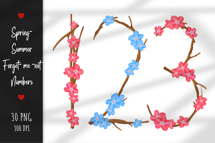 Forget- Me -Not numbers