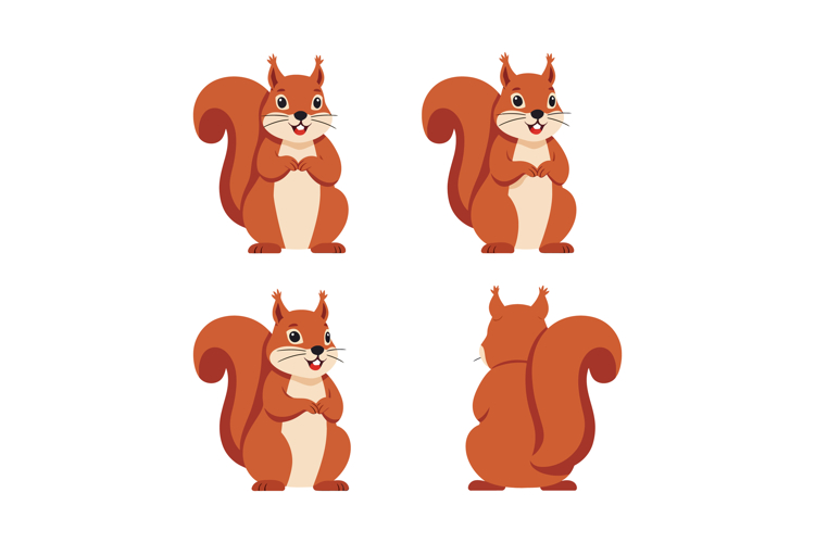 Squirrel Vector Image 23