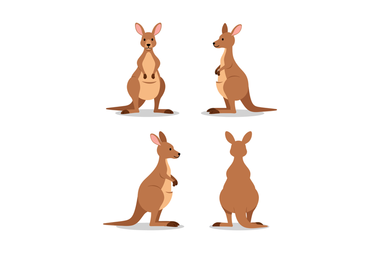Kangaroo Vector Illustration in Four Different Poses for T-S