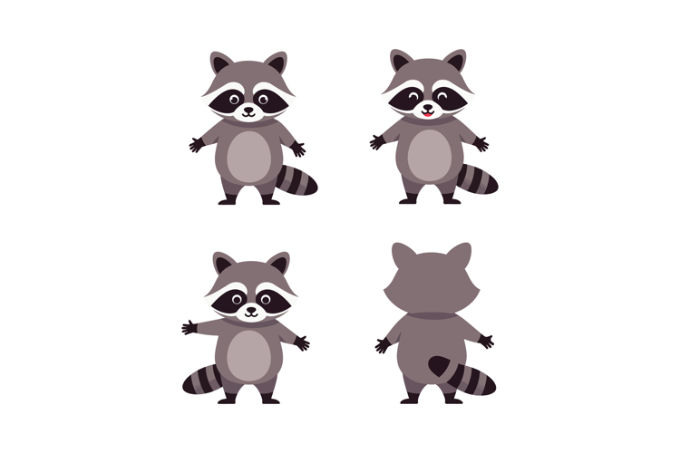 Raccoon Illustration