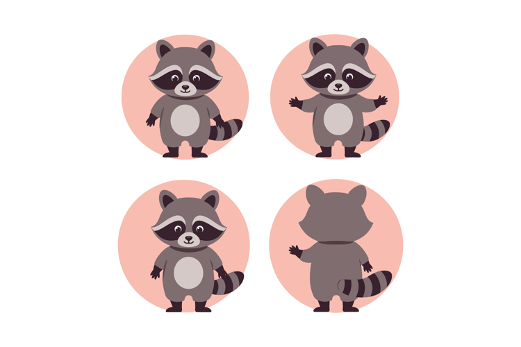 Raccoon Illustration Image 24