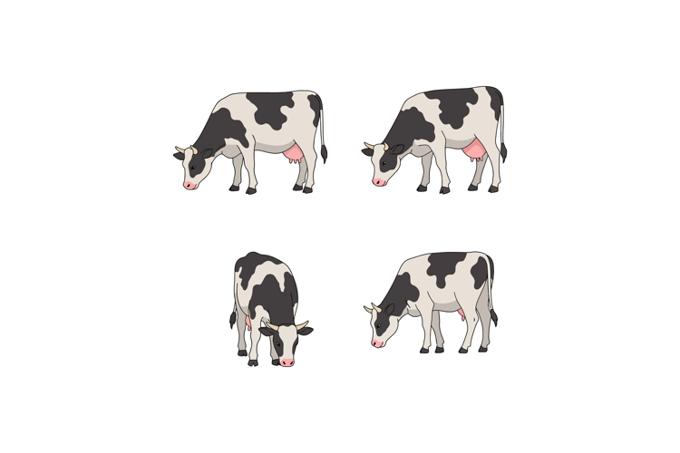Cow Vector Image 3