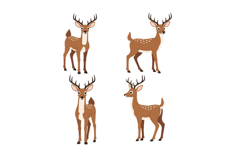 Deer Illustration Image 9