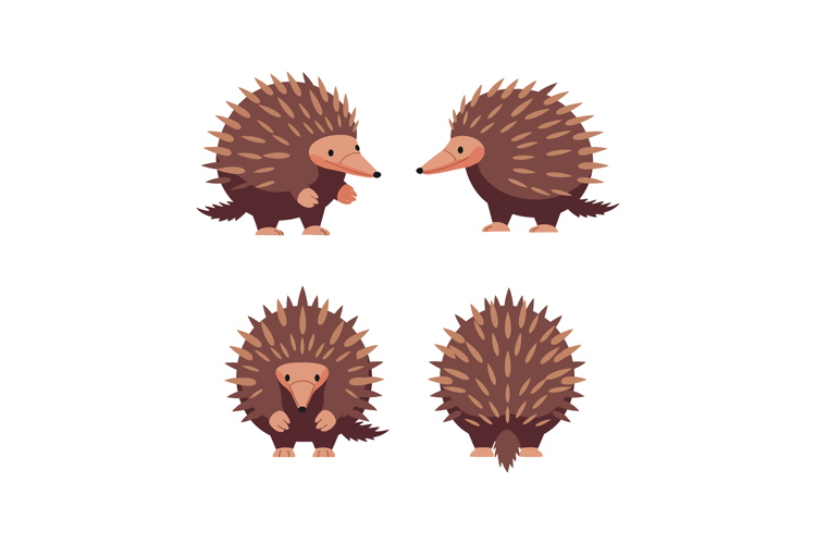 Spine Clipart Image 2