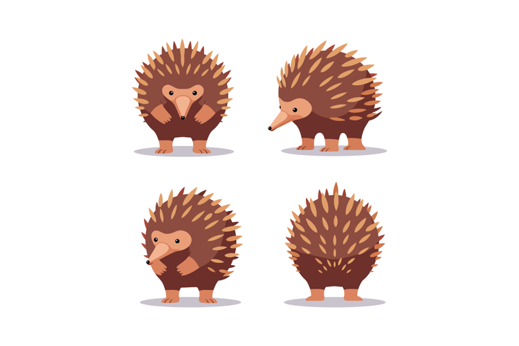 Nature Illustration Image 16