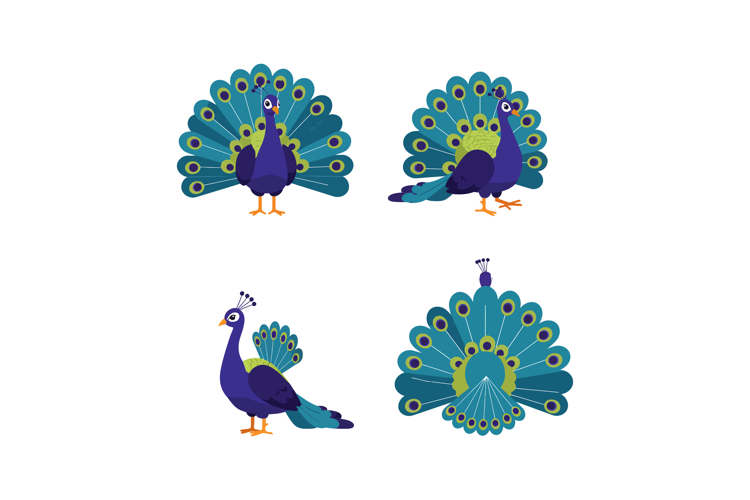 Feathers Clipart Image 10