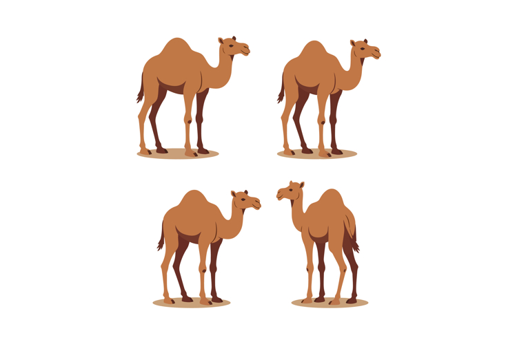 Desert Illustration Image 2