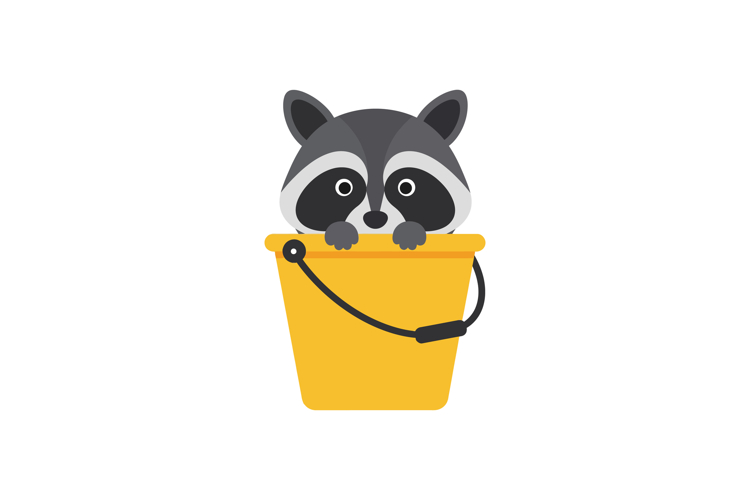 Raccoon Illustration Image 20