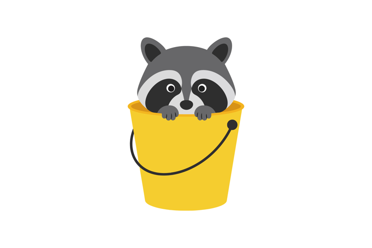 Raccoon Clipart Image 11