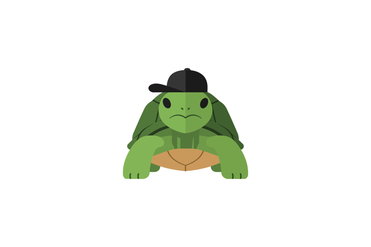 Turtle Clipart Image 23