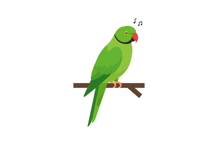 Parrot Illustration Image 15