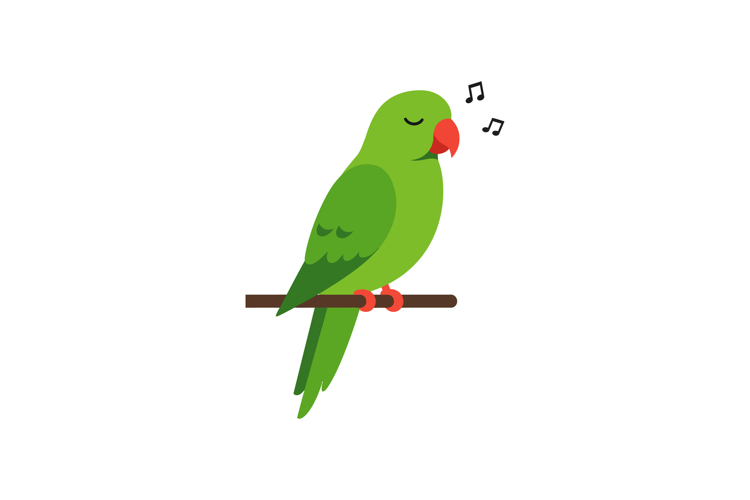 Parrot Illustration Image 14