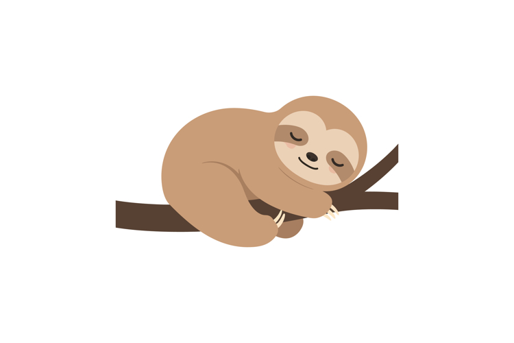 Sloth Illustration Image 15