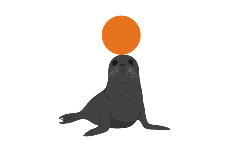 Ball Clipart Image 8