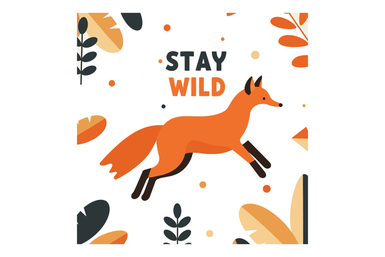 Fox Illustration Image 11