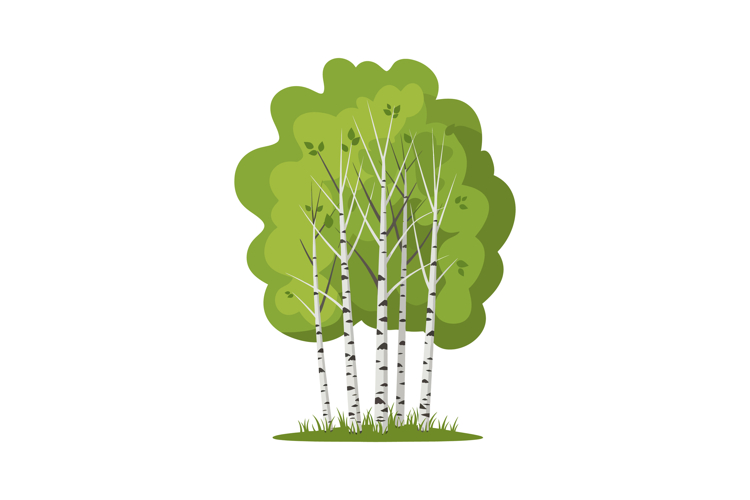 Forest Illustration Image 22