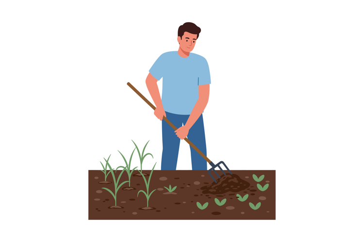 Man Gardening Soil Using Fork Hoe Tending Young Plants Growi