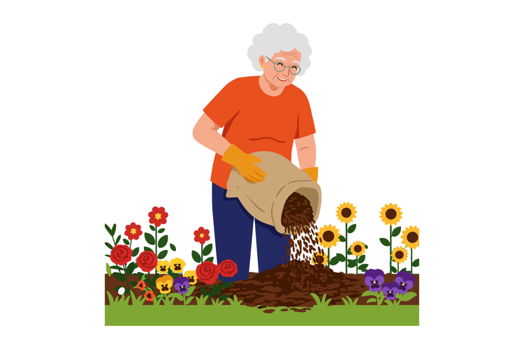 Elderly woman gardening pouring soil in flower garden with c