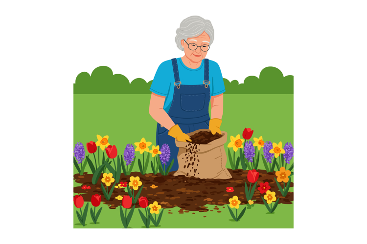 Daffodil Clipart Image 3