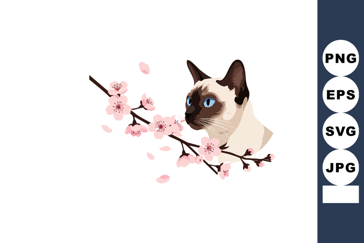 Eyes Clipart Image 13