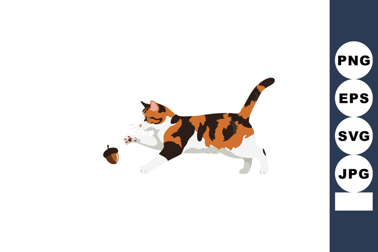Acorn Illustration Image 16