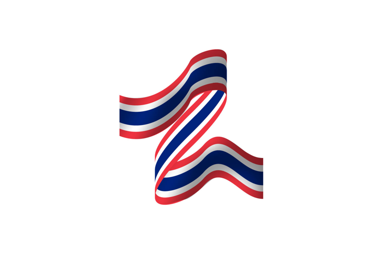 Flag Vector Image 14