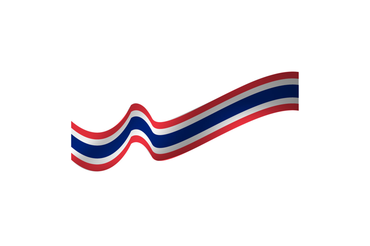 Flag Vector Image 21
