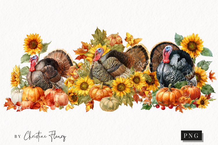 Watercolor Thanksgiving Turkey | Thanksgiving Png