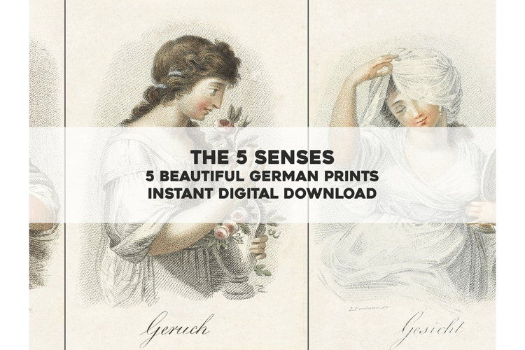 The 5 Five Senses: Stunning Allegorical Artworks