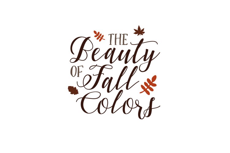The Beauty Of Fall Colors