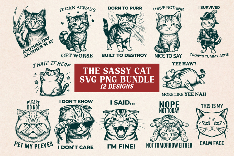 Sassy Cat SVG Bundle 12 Designs | Funny Sarcastic Cat Quotes