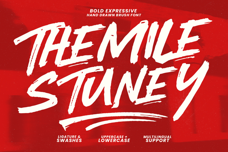 Themile Stuney Bold Expressive Brush Font