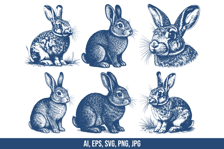 Rabbit Vector SVG Bundle