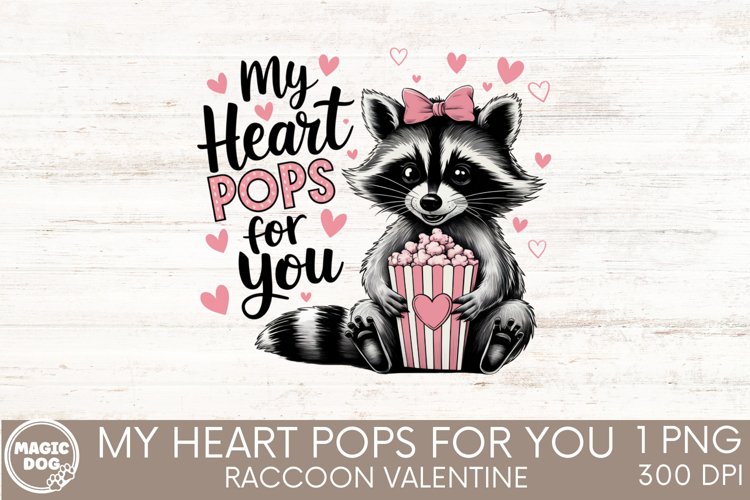 Raccoon Png Image 3