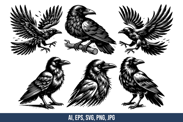 Crows Vector SVG Bundle