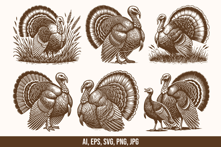 6 Turkey SVG Vector Design Bundle